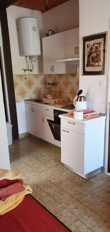 Apartment Zdenka Dinjiška Exterior foto